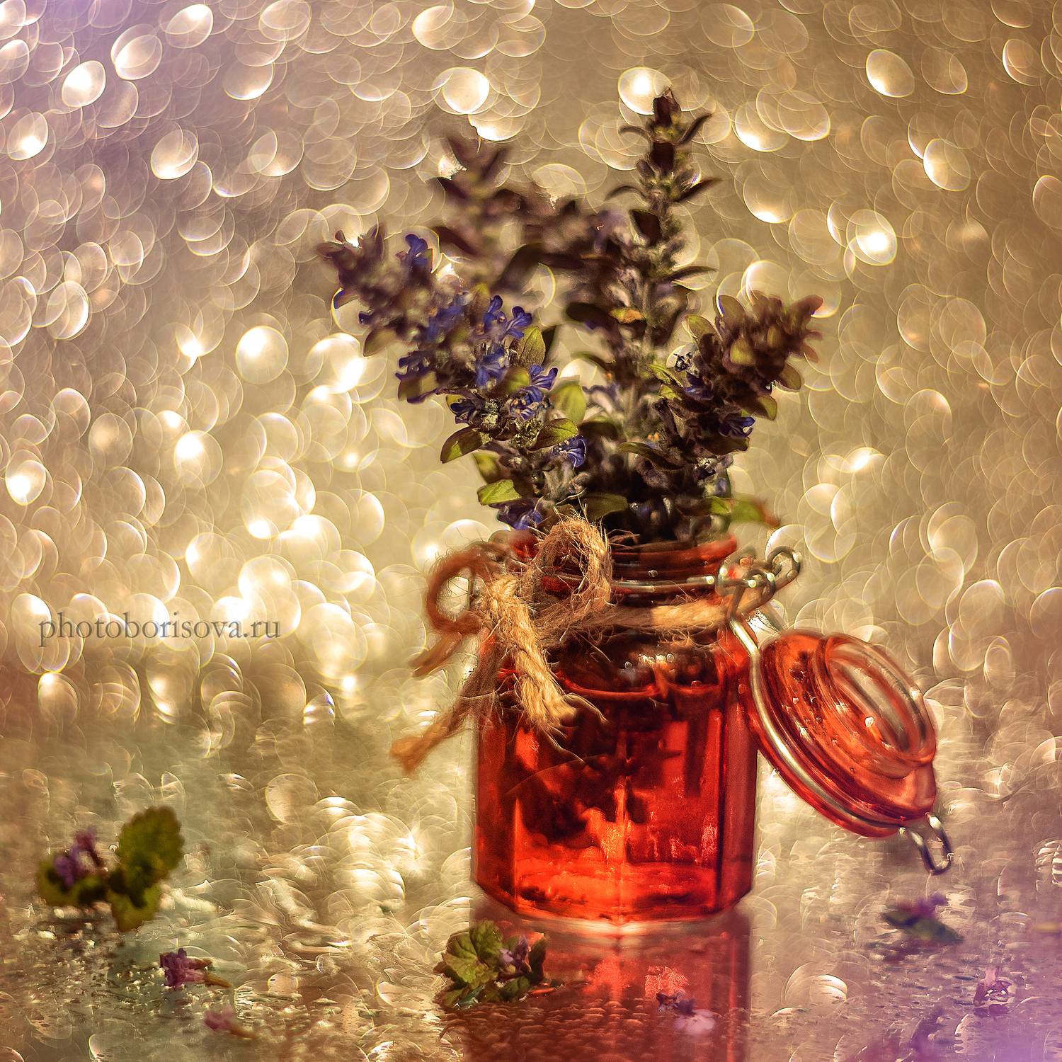 , Юлия Борисова