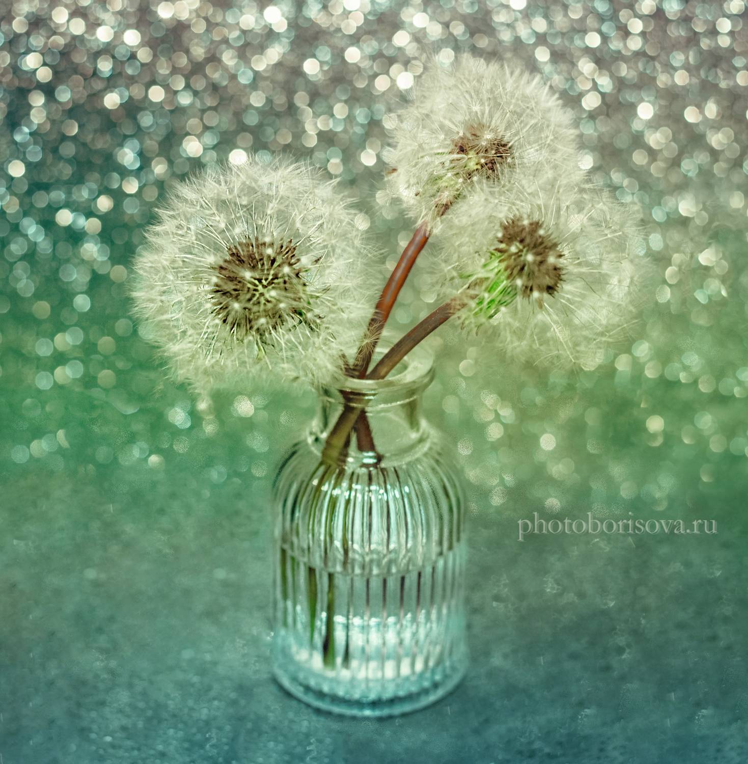 , Юлия Борисова