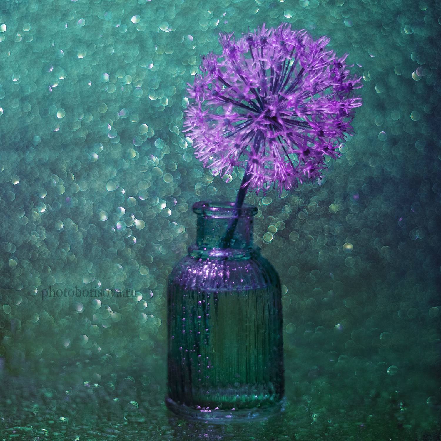 , Юлия Борисова