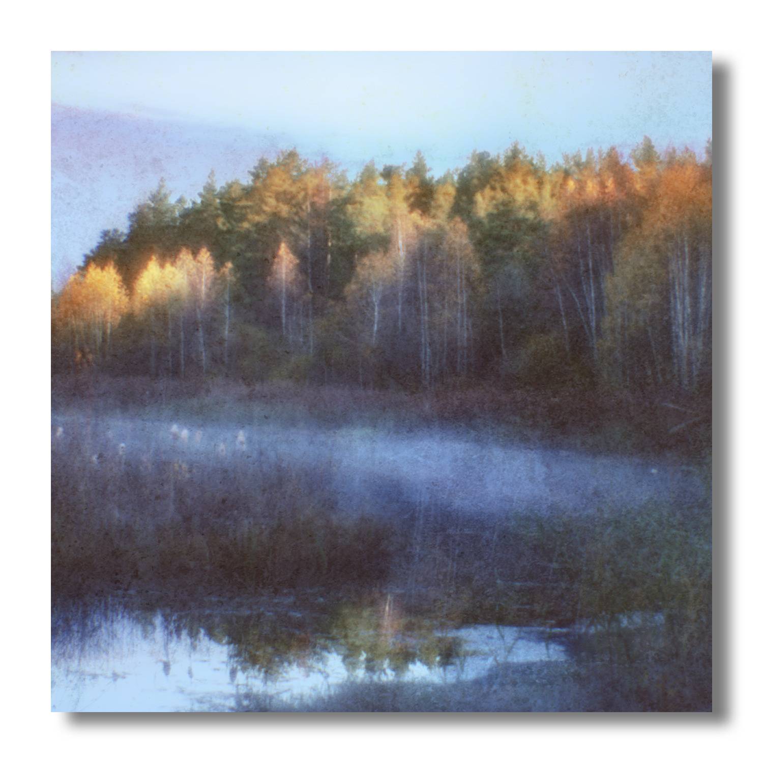 пикториализм, монокль, арт-фотография, художественная фотография, пикториальный пейзаж, пикториальная фотография, современный пикториализм, Ефимов Андрей