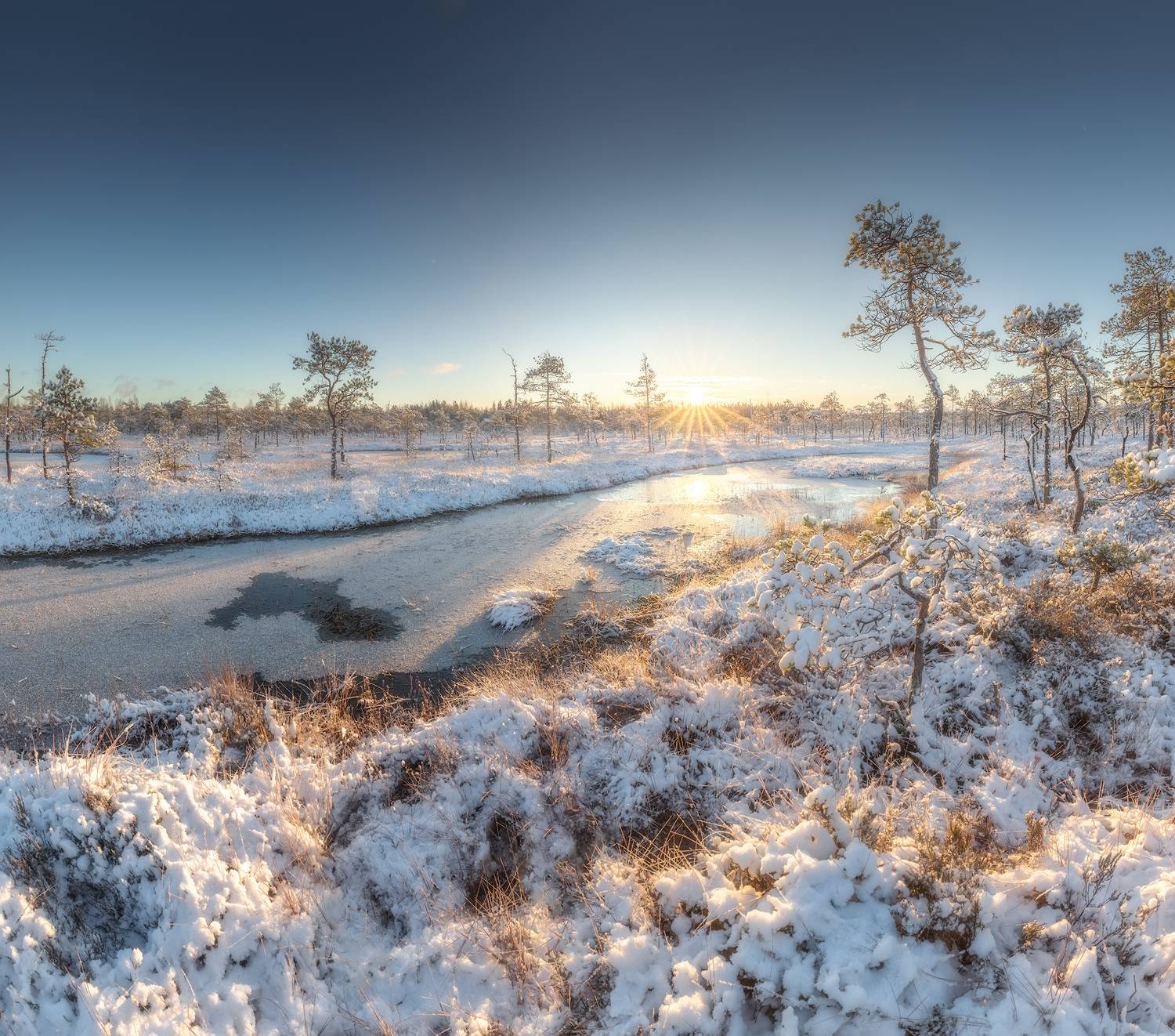 болото, ленобласть, осень, Марголин Алексей