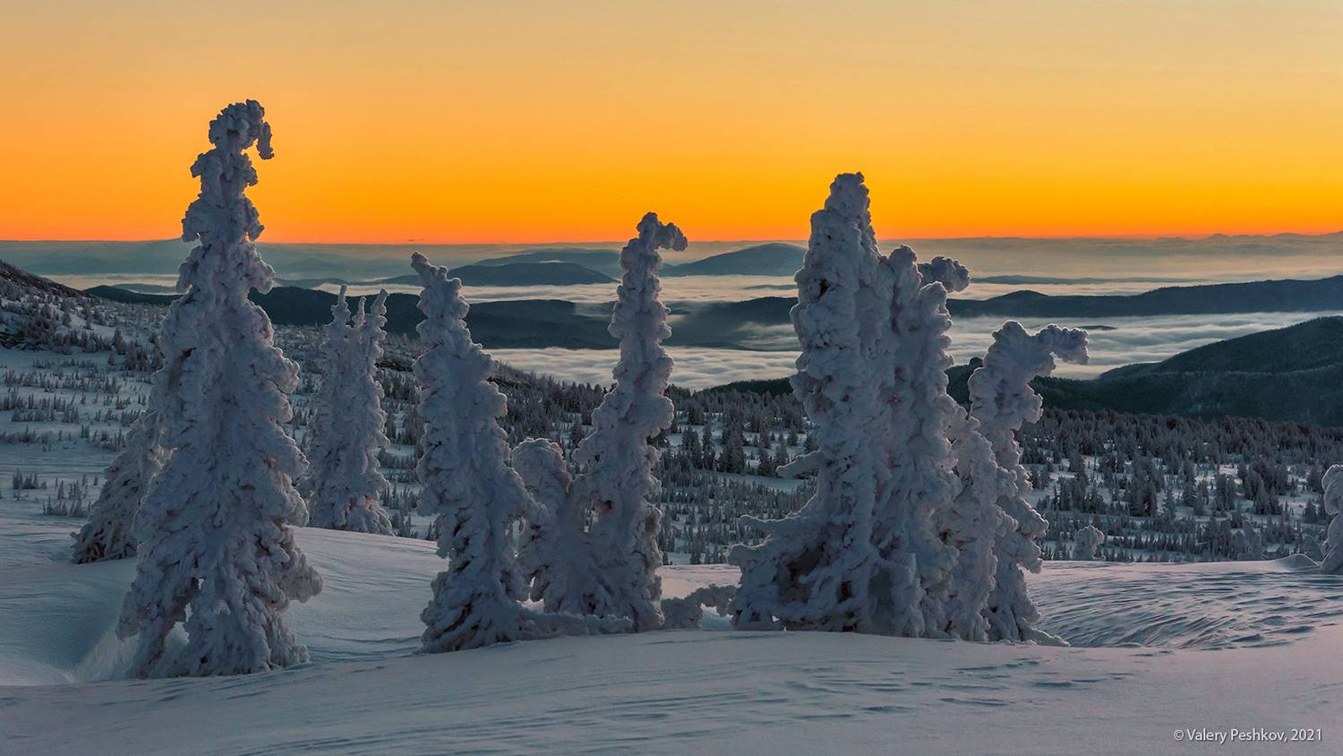 утро, сумерки, рассвет, зимнее утро, снег, иней, мороз, зима, пихты, гора курган, шерегеш, горная шория, сибирь, Пешков Валерий