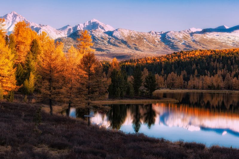 Прощальный аккорд... фото превью