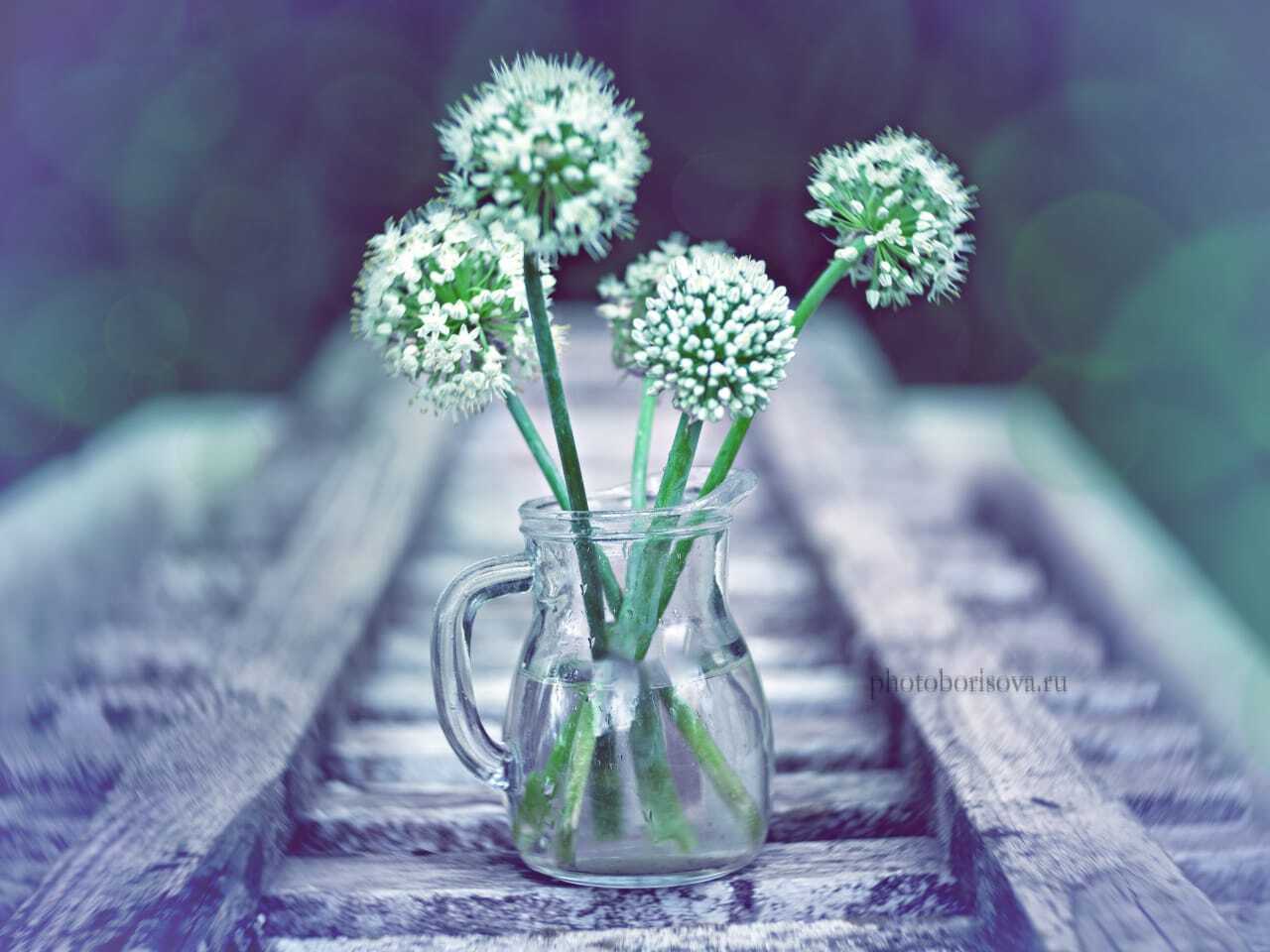 , Юлия Борисова