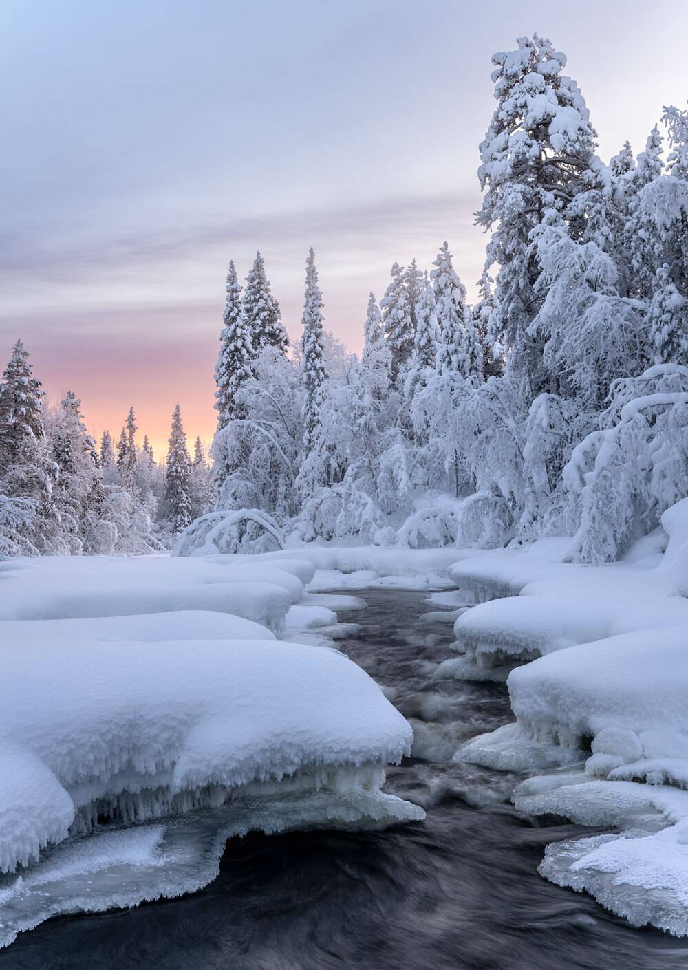 , Бушков Евгений