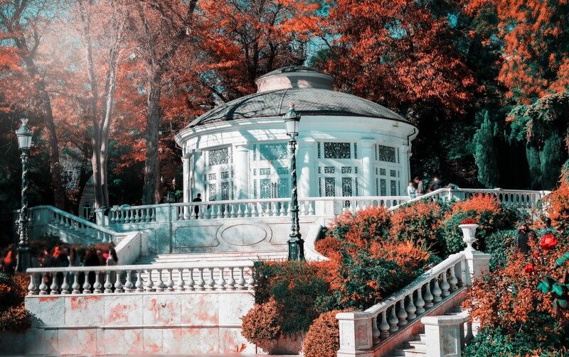 Нежность. фото превью