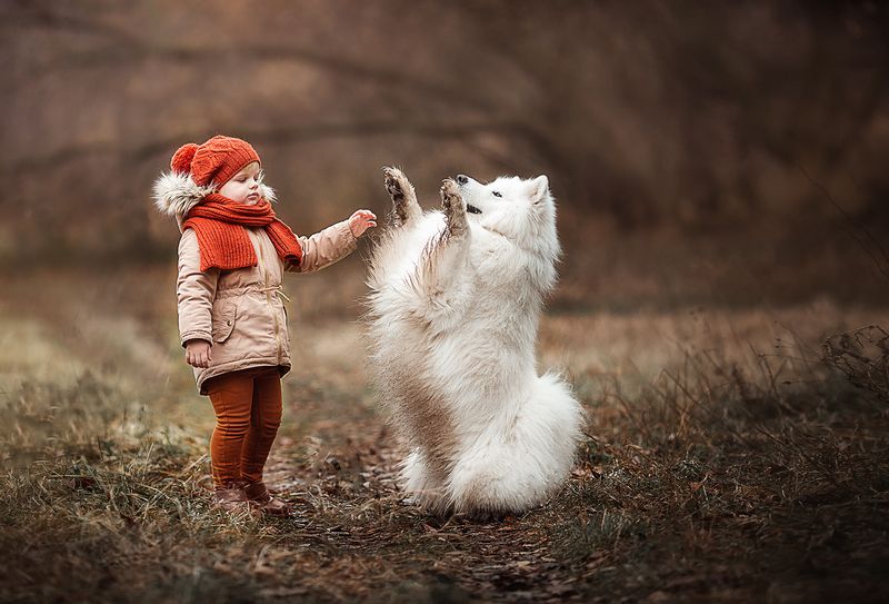 фото превью