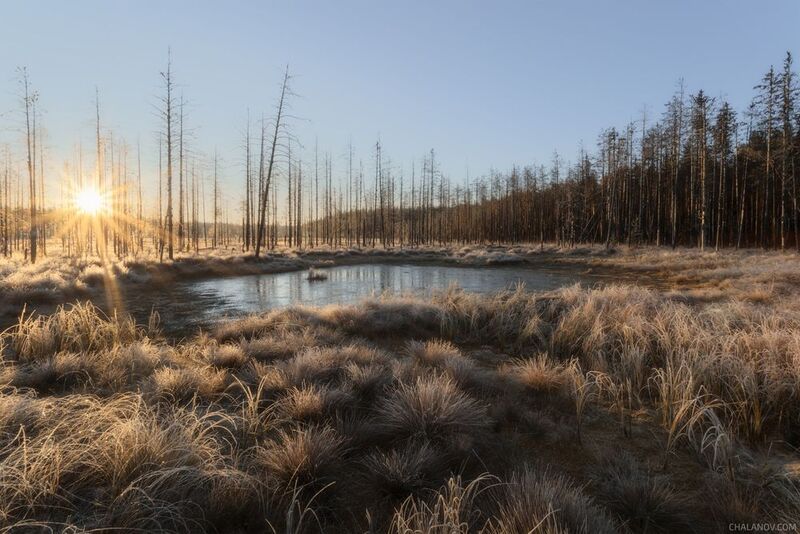 Первые заморозки фото превью