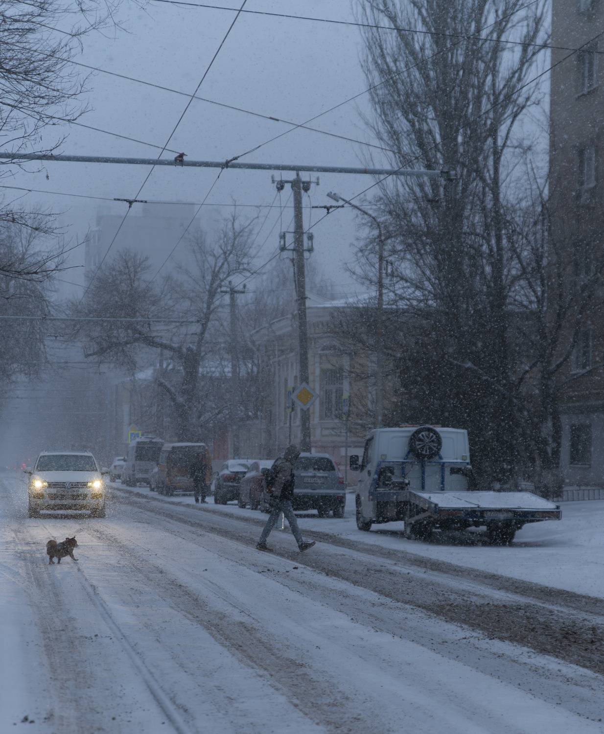 snow, twilight, street, rostov, evning, winter, snowfall, cold,, Бугримов Егор