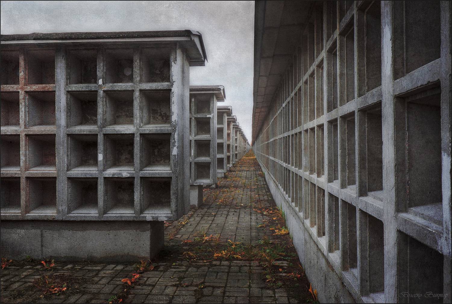 , Болеско Виктор