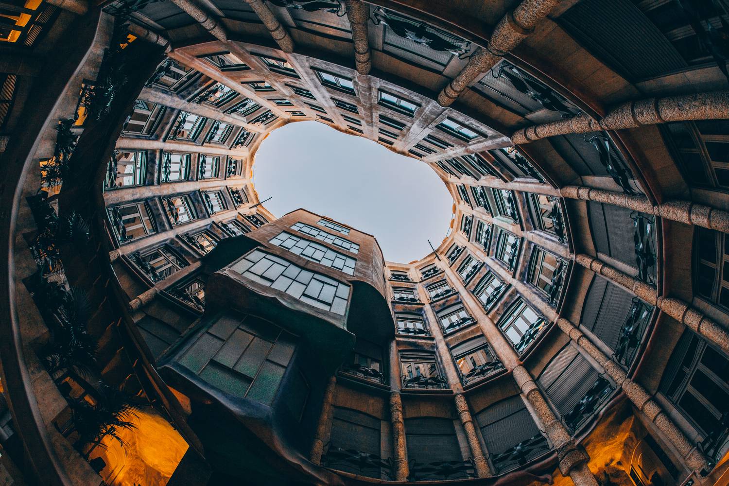 , Трепольский Дмитрий