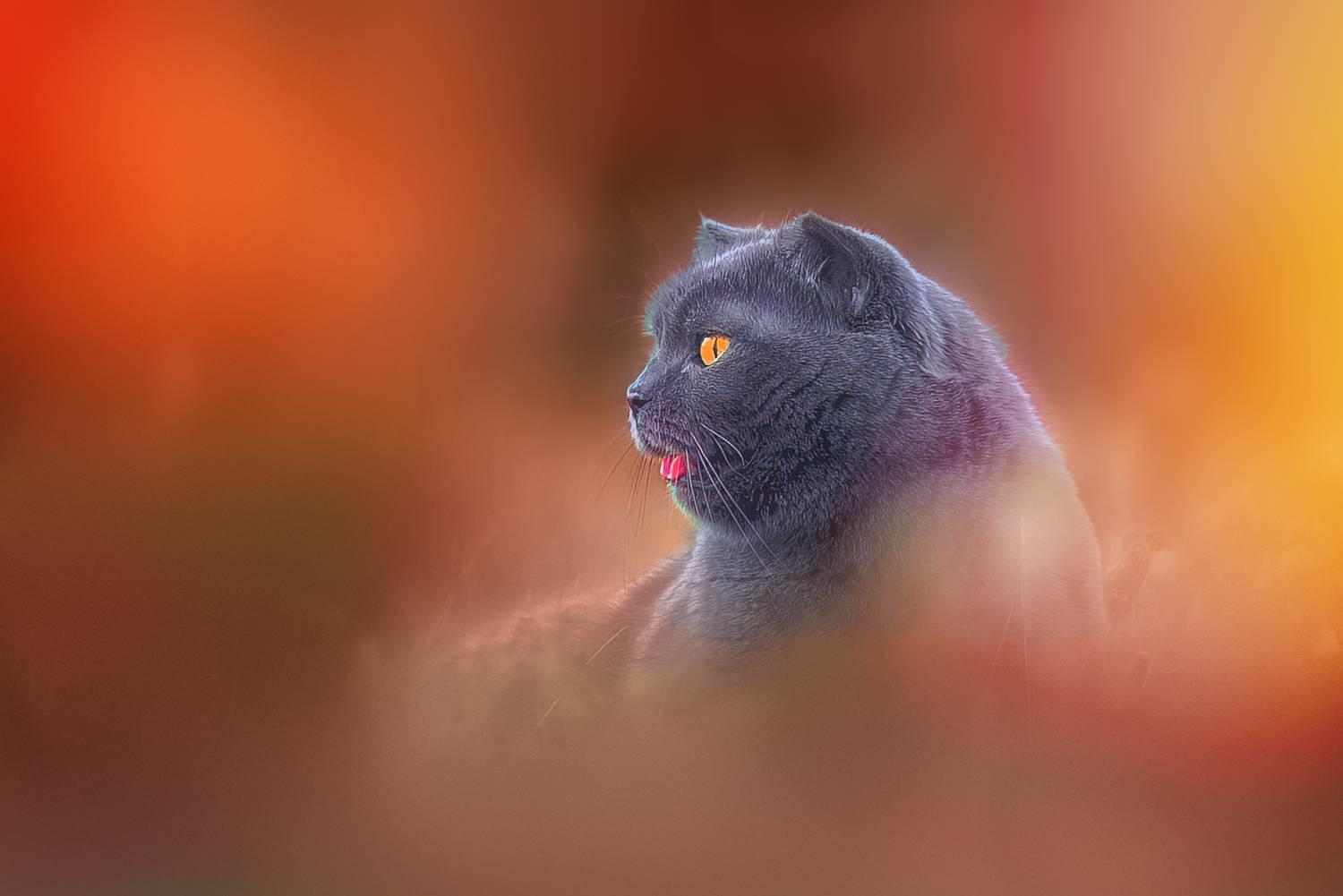 , Холудеев Виктор