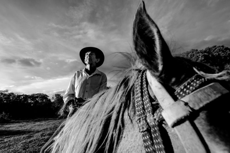 A Surreal Knight фото превью