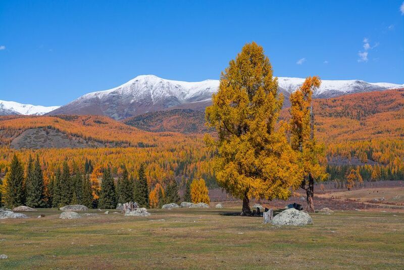 россия, горный алтай,осень С холма фото превью