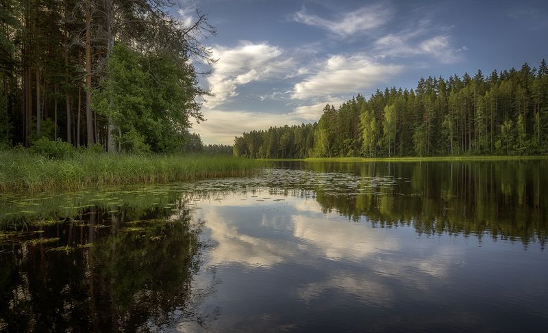 **** фото превью