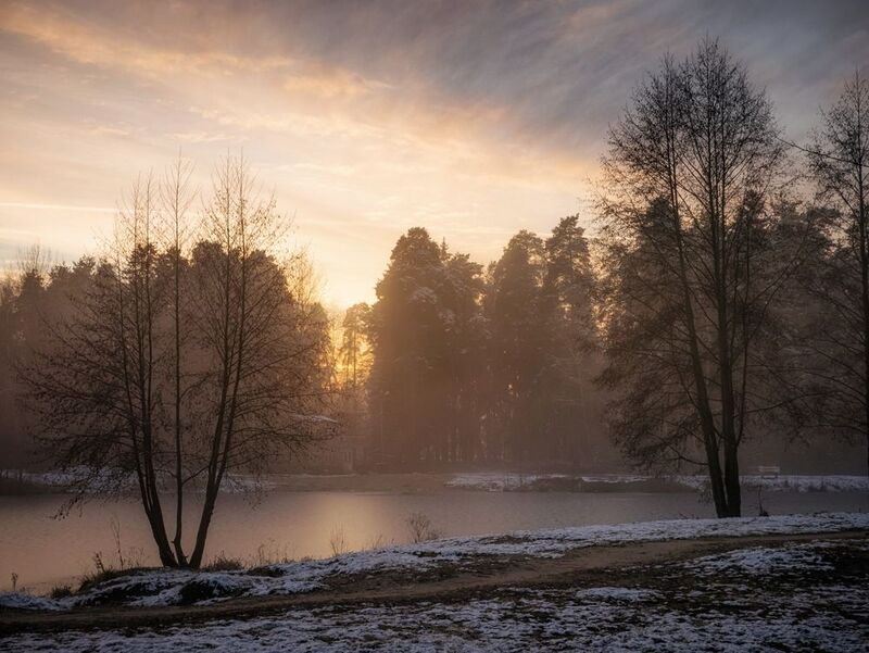 Ноябрьский вечер в Кратово фото превью