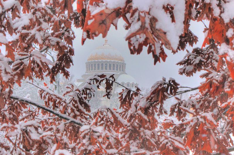 *** фото превью