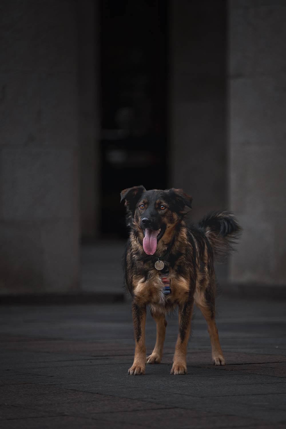 , Елена Самусенкова