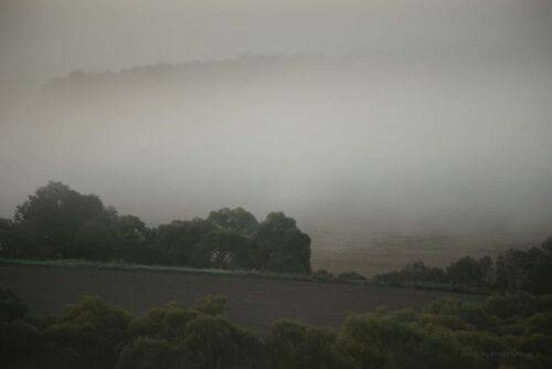 Осенняя меланхолия