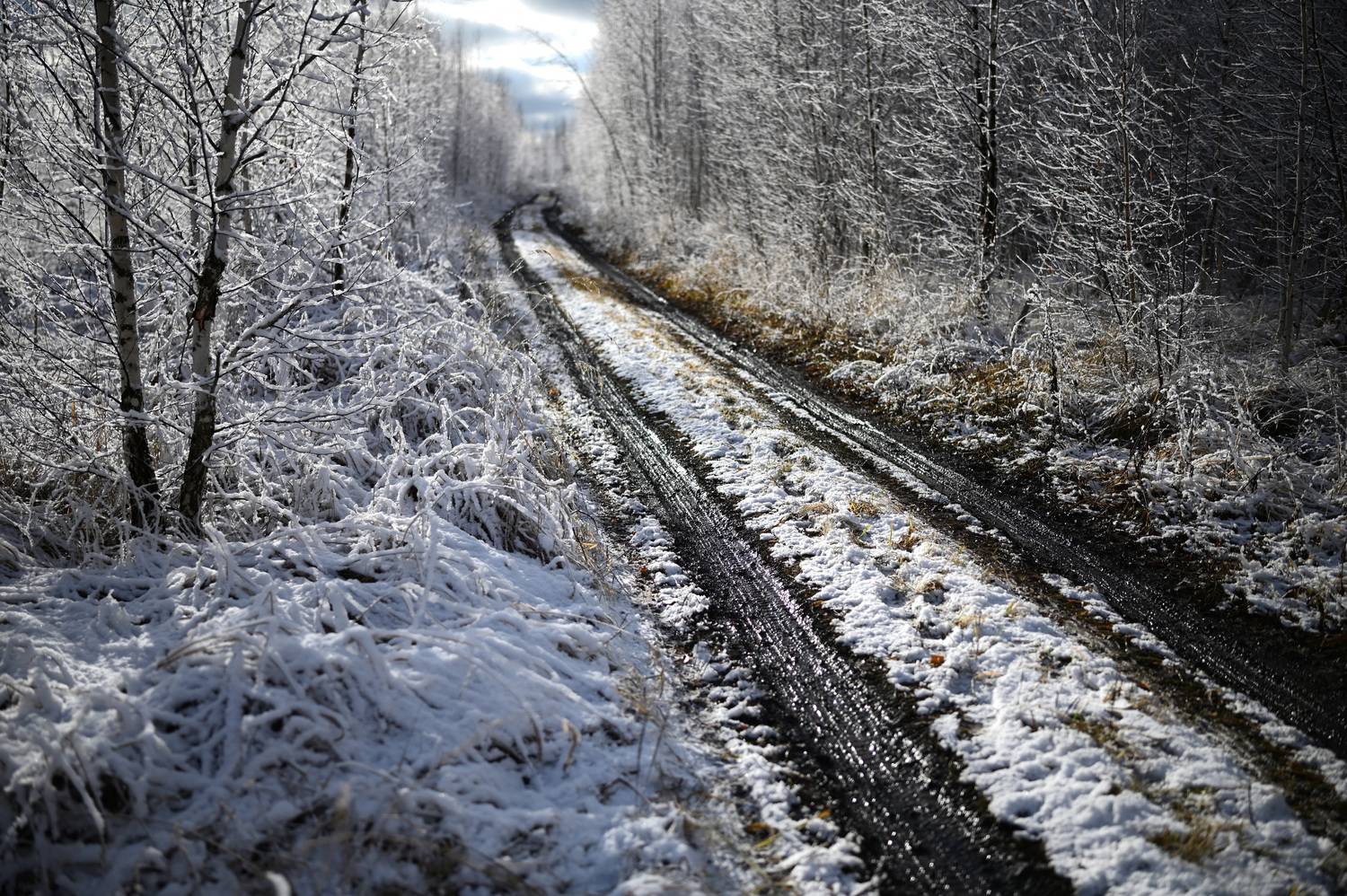 , Дужников Сергей