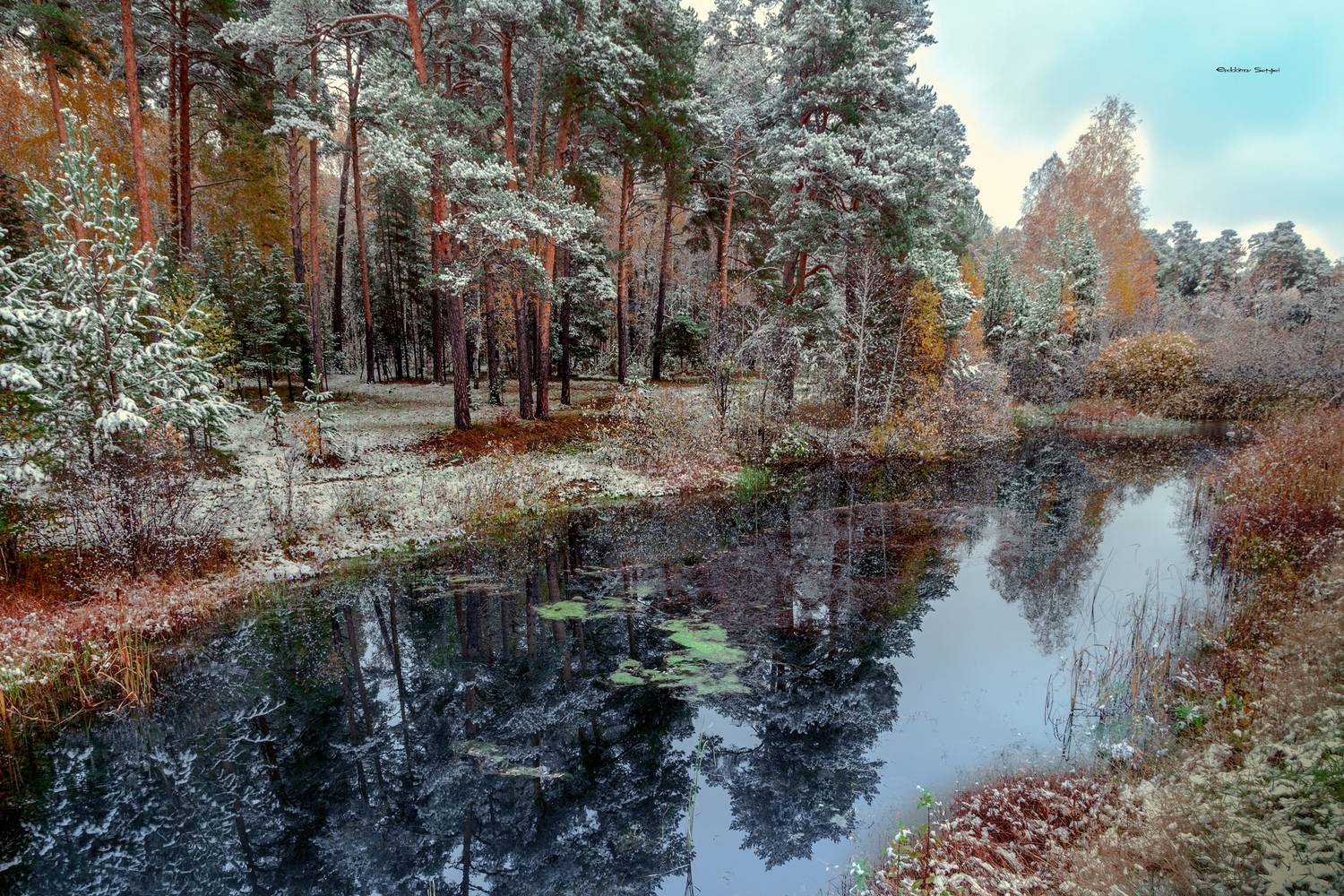 , Евдокимов Сергей
