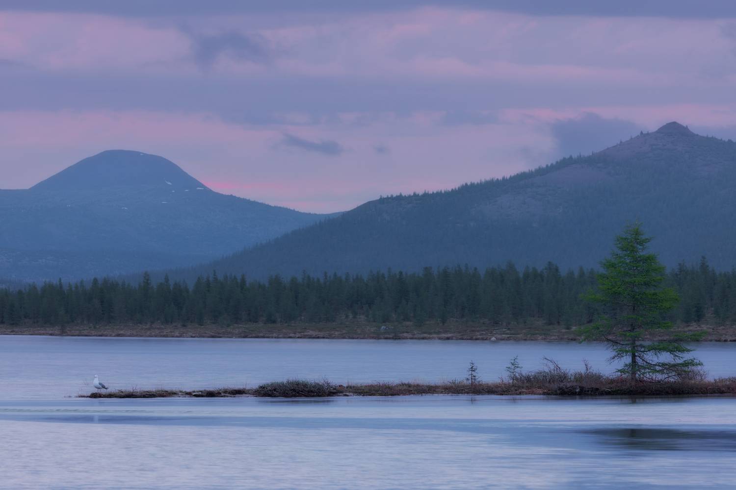 Озеро_Момонтай пейзажи_Колымы Магаданская_область июньский_лёд рассвет утро белые_ночи отражения, Дмитрий Шишкин