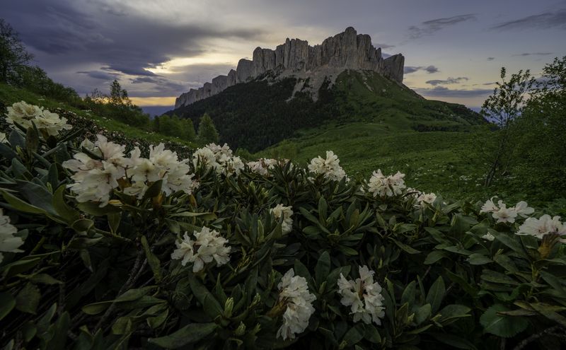 Россия, республика Адыгея, Большой Тхач, рододендроны, закат Вспоминаем лето фото превью