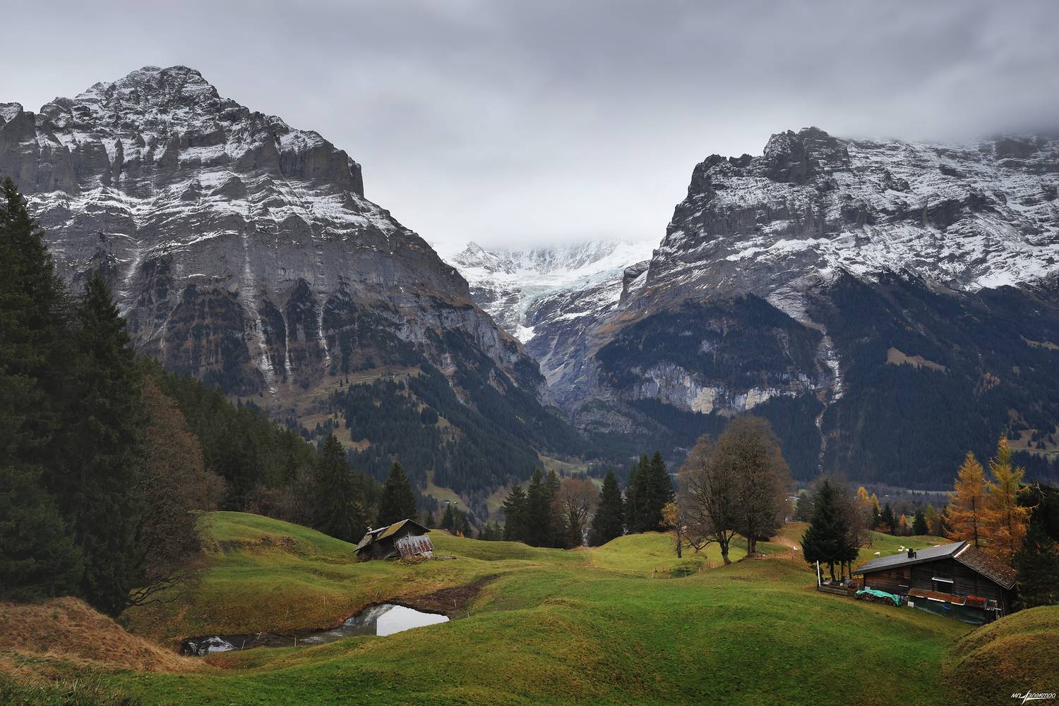 swiss, Матвеев Николай