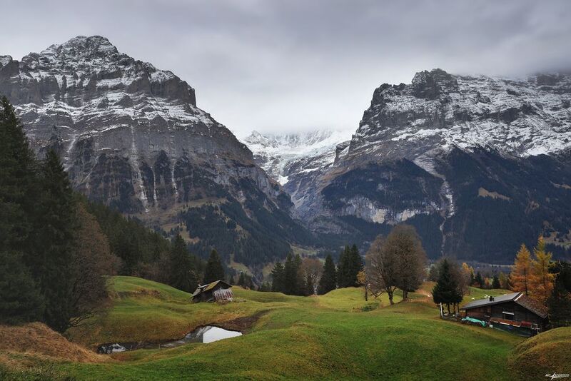 swiss Всё уходяще... фото превью
