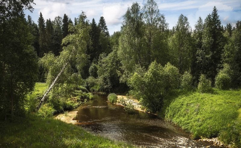 речка Шима фото превью