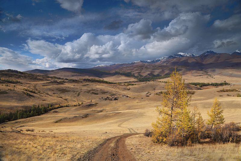 Дорогами осени фото превью