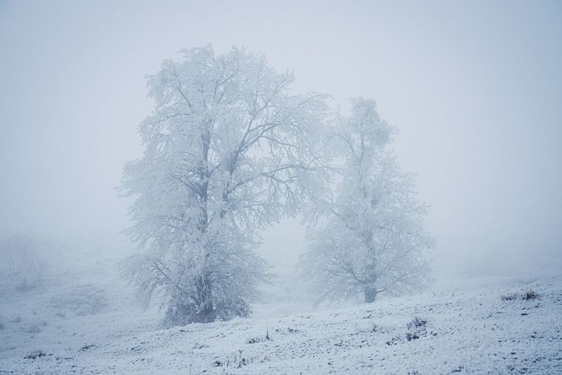 2014 фото превью
