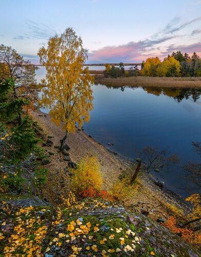 Провожая осень