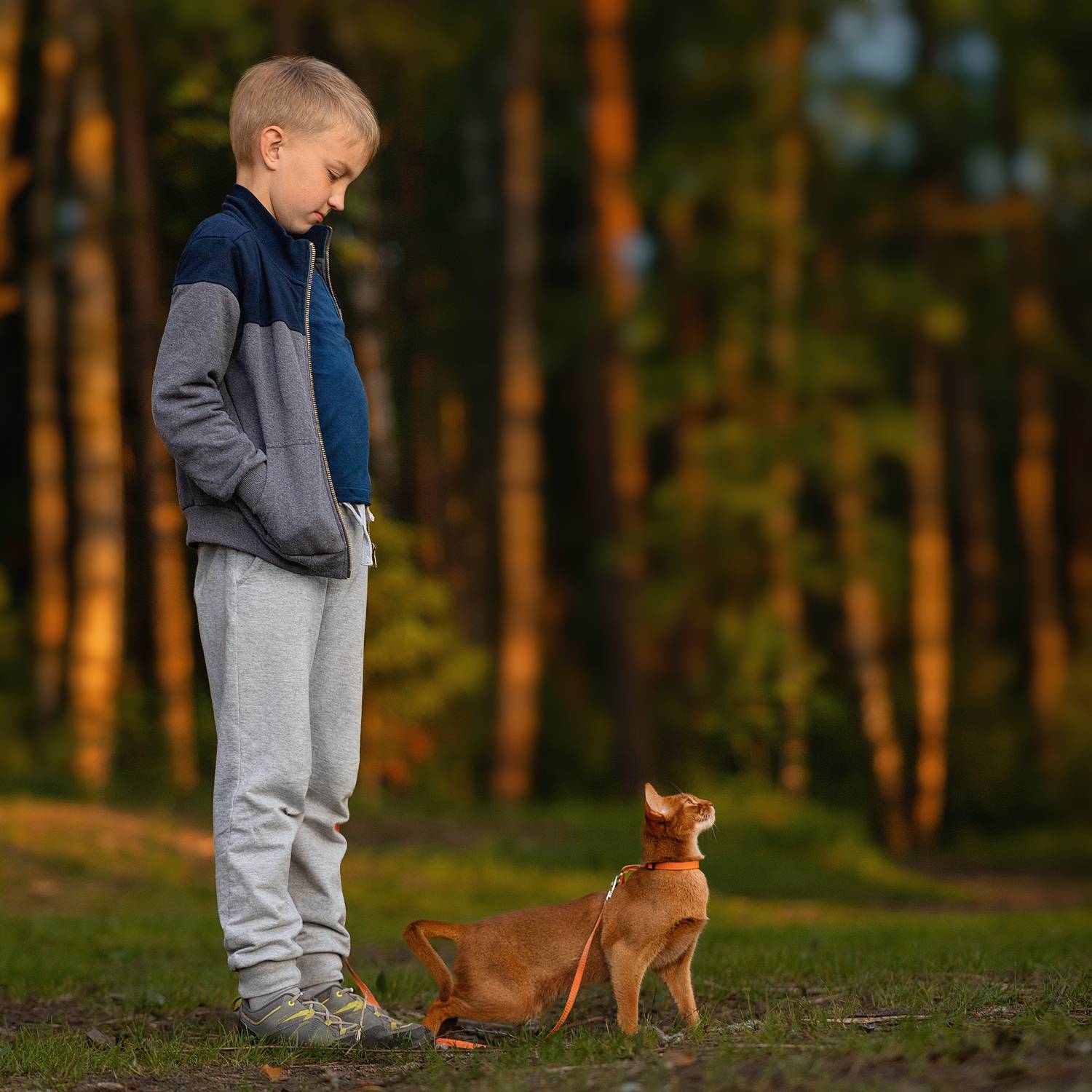 , Елена Михайлова