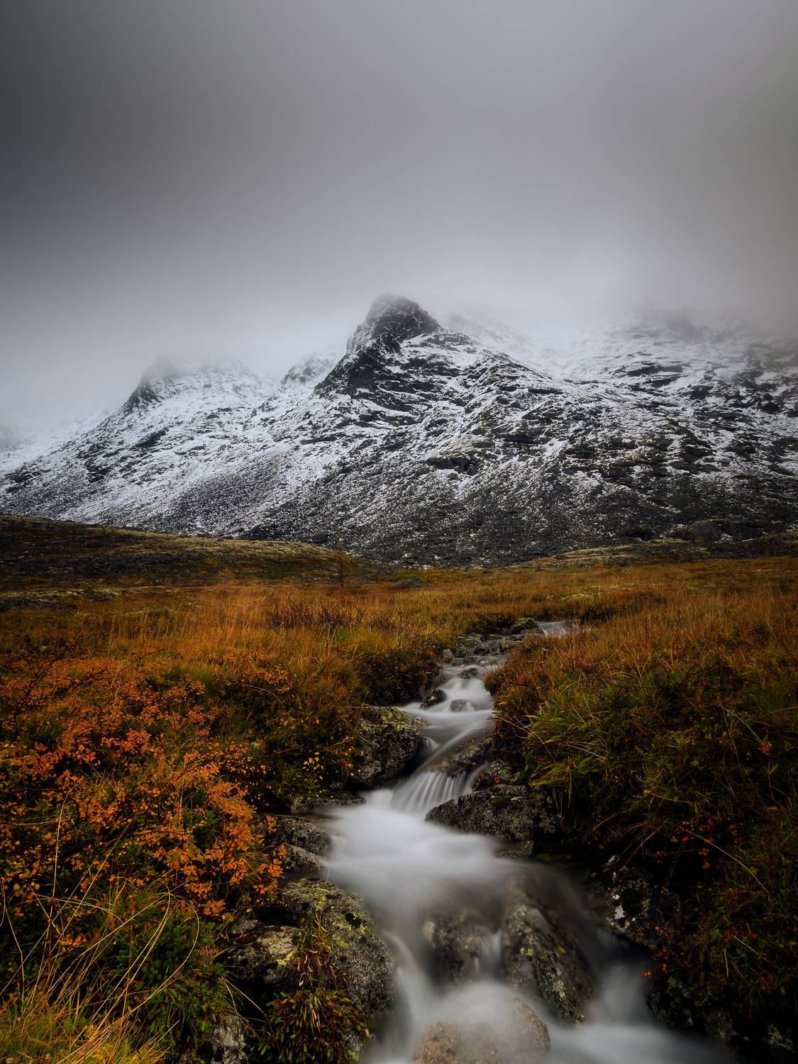 , роман фарберов