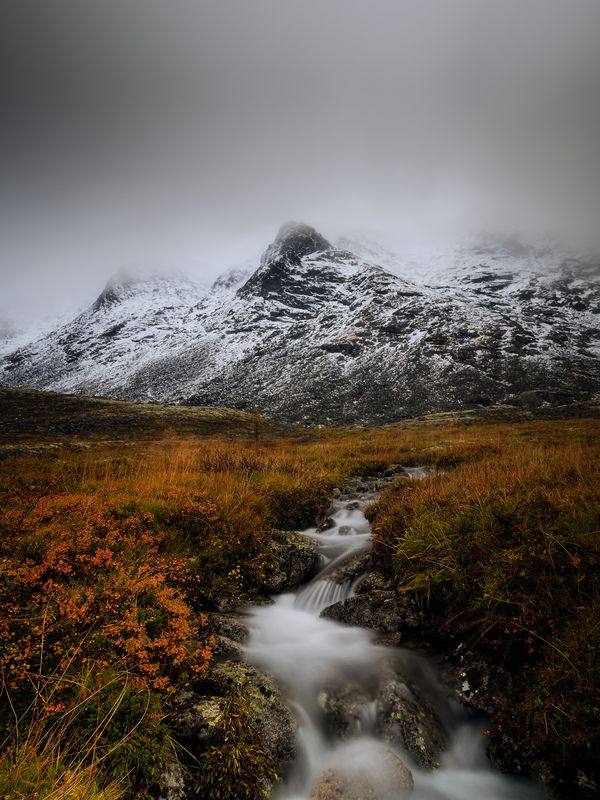 стена фото превью