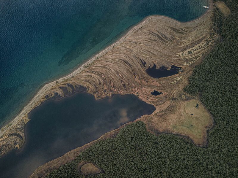 Перо байкальской птицы фото превью
