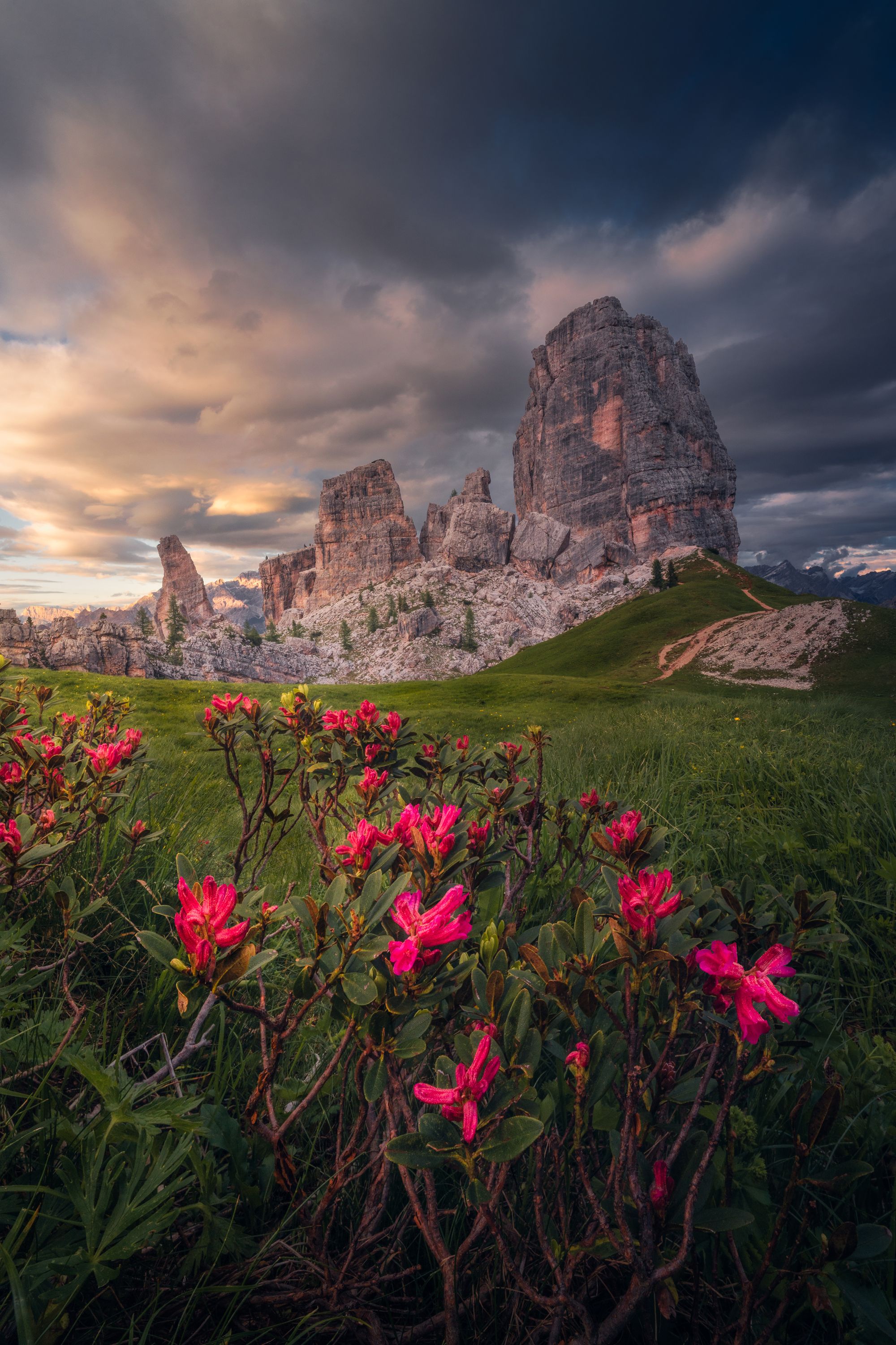 фото превью