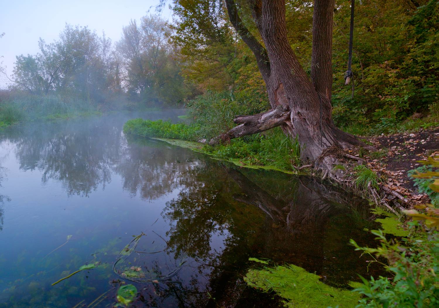 , Рукин Иван