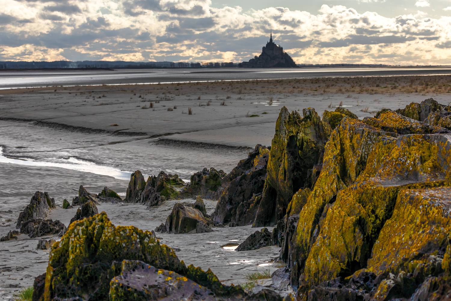 , Евгения Чех