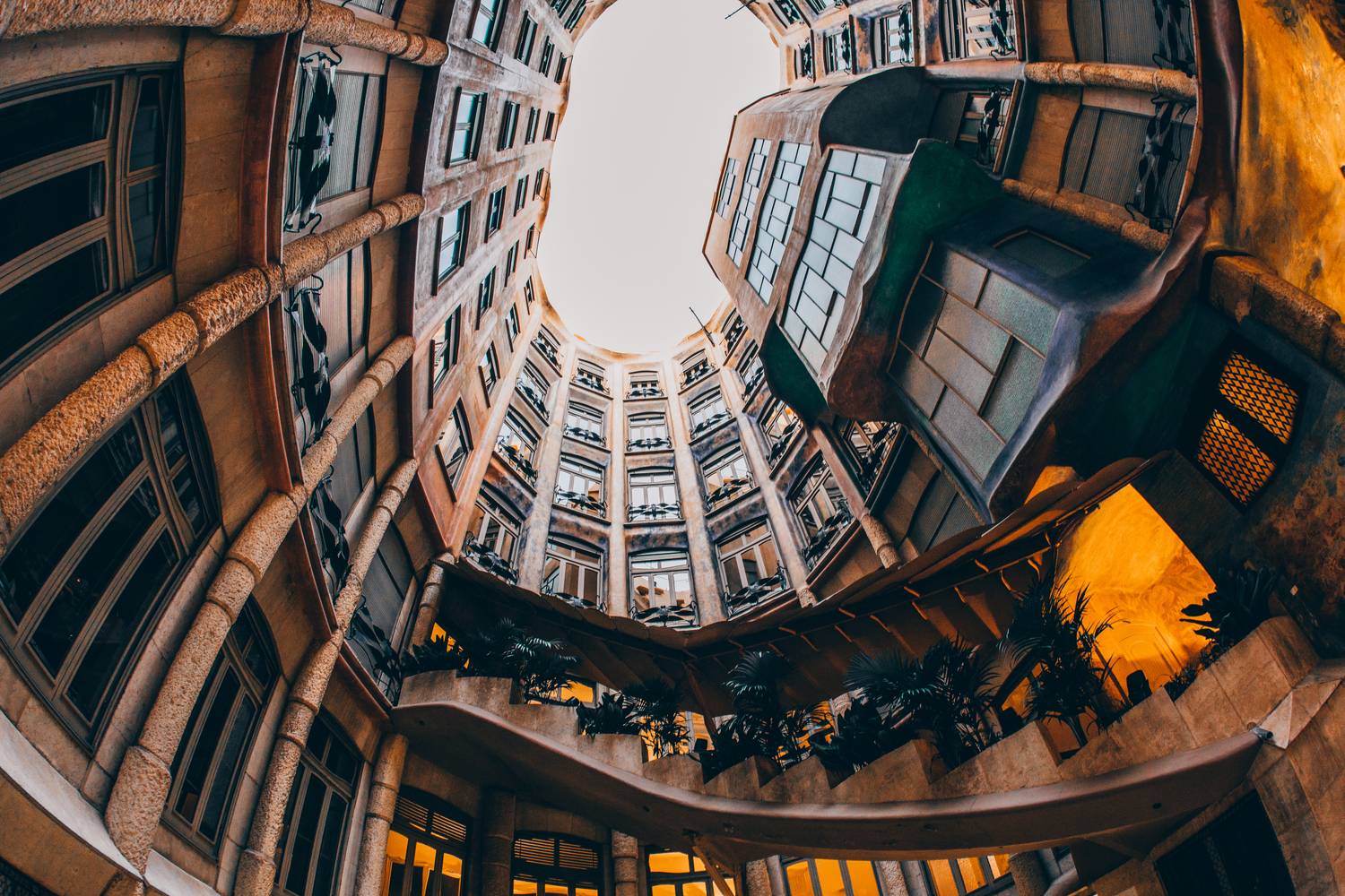 , Трепольский Дмитрий