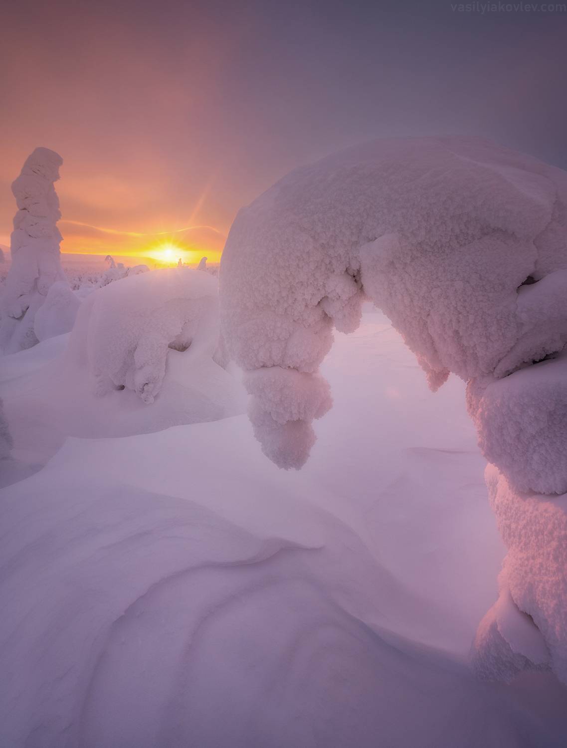 , Василий Яковлев