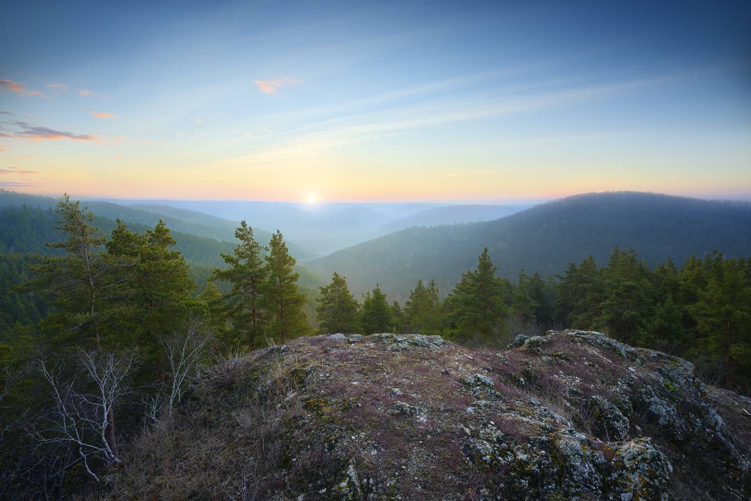 , Александр Тормосин