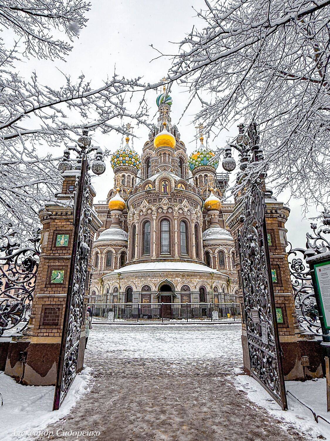 , Александр Сидоренко