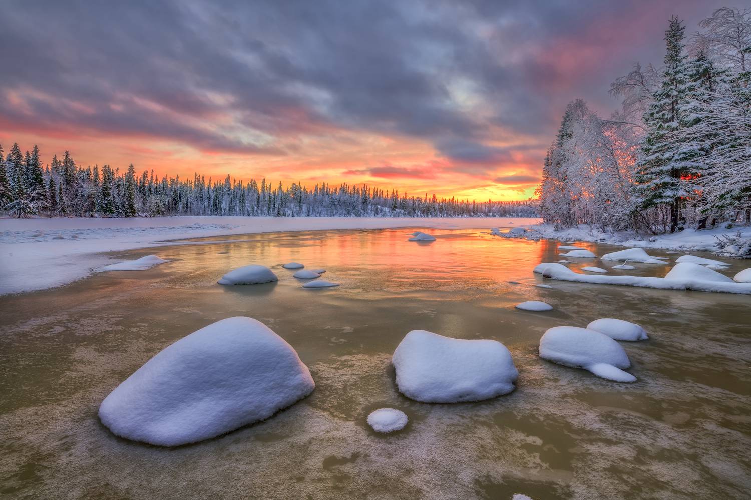 кольский, Евдокимов Максим