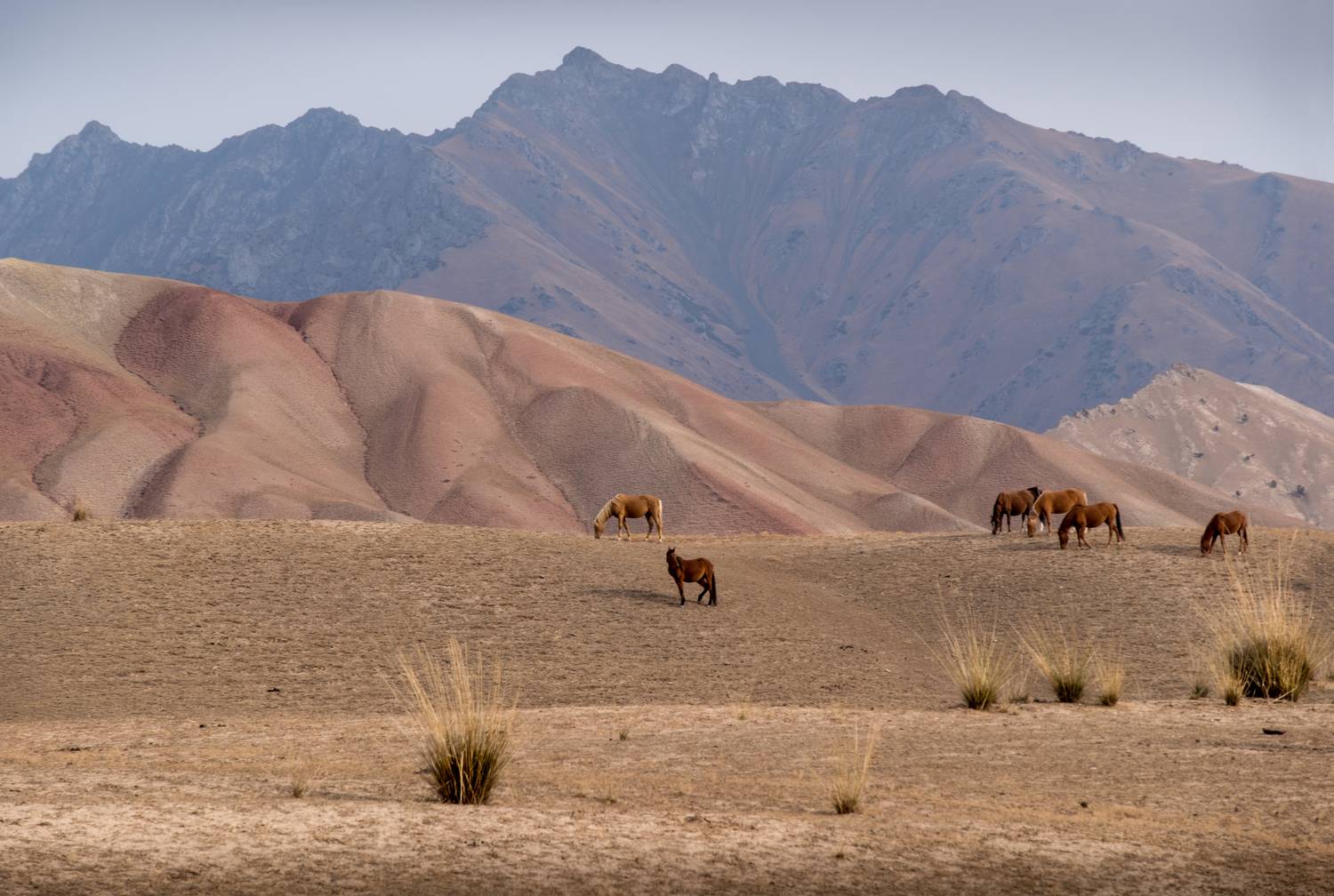 памирский тракт, по памирскому тракту нд, нд, киргизия, pamir tract, кыргызстан, kyrgyzstan, Надежда Демкина