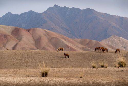 Зарисовки с Памирского тракта