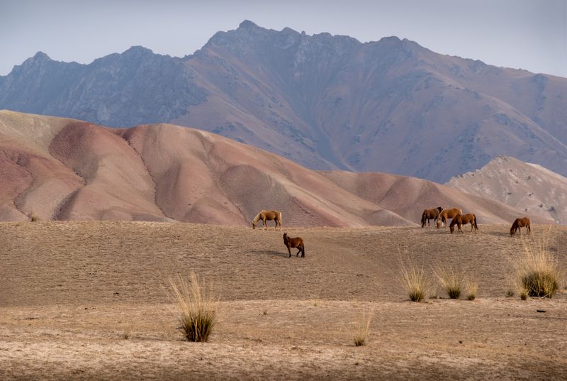 памирский тракт, по памирскому тракту нд, нд, киргизия, pamir tract, кыргызстан, kyrgyzstan Зарисовки с Памирского тракта фото превью