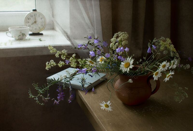 лето, вечер, колокольчики, чтение Летним вечером фото превью