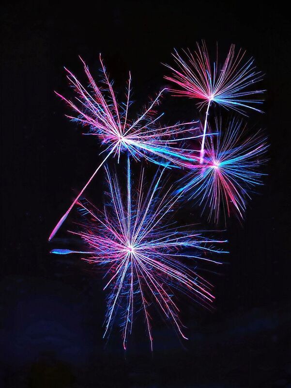 Салют фото превью